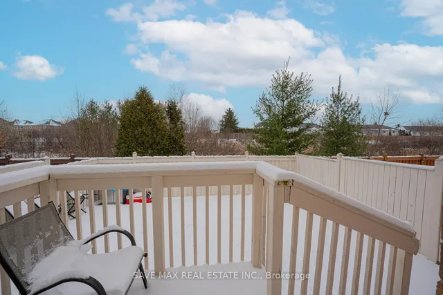 Additional image 33 of 50 Begonia Cres