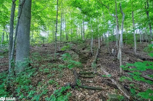 Additional image 33 of 99 River Rd