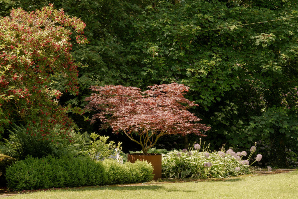 Additional image 34 of Domus, Reedley, Lancashire