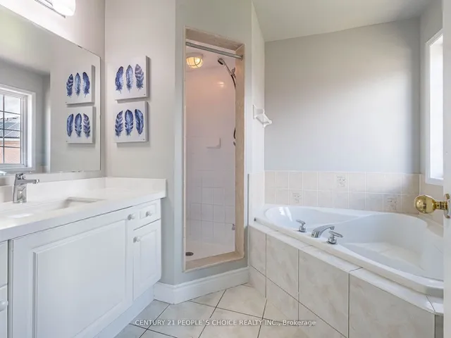 Additional image 32 of 42 Gecko Crt