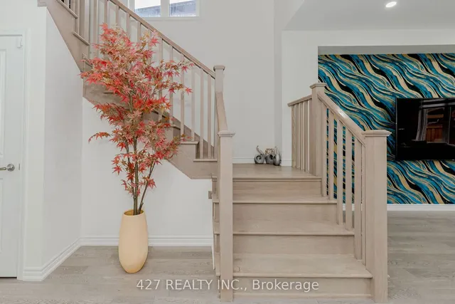 Additional image 10 of 20 Dolucci Cres