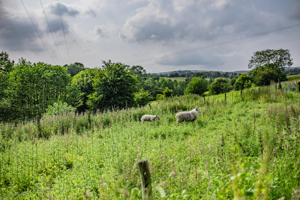 Additional image 6 of Cuckstool Lane, Fence, BB12