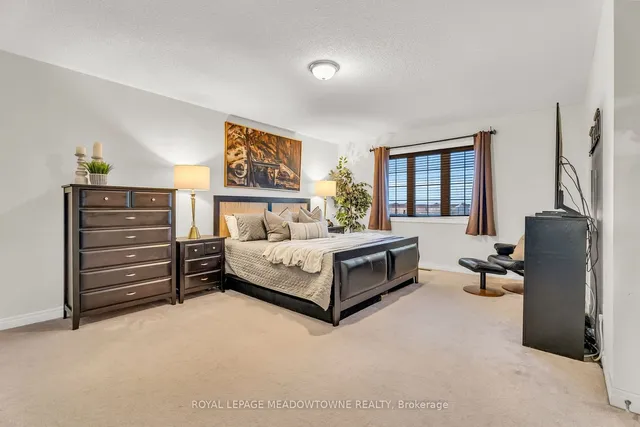 Additional image 22 of 64 Spotted Owl Cres