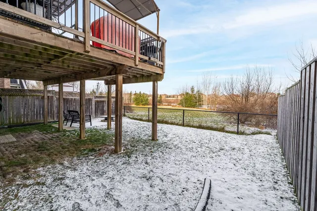 Additional image 37 of 64 Spotted Owl Cres