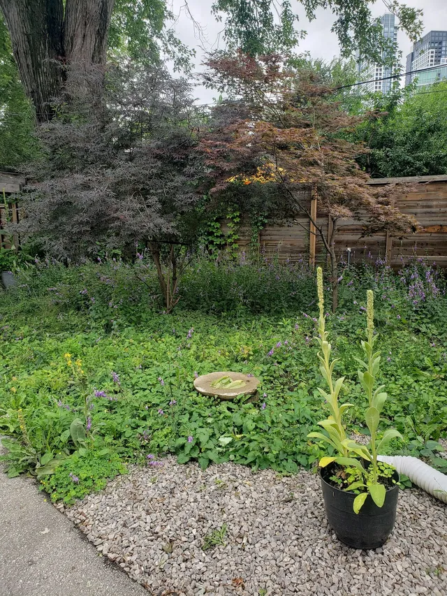 Additional image 8 of 1202 Islington Ave