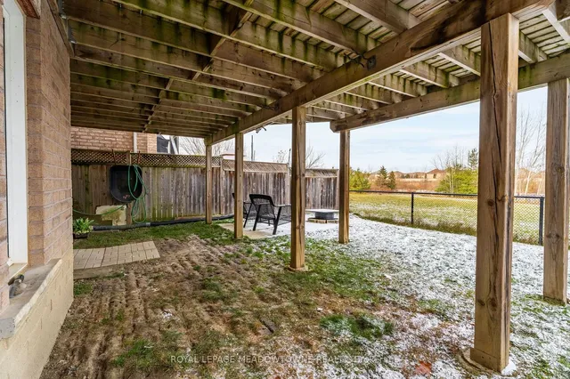 Additional image 38 of 64 Spotted Owl Cres