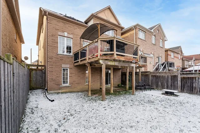 Additional image 33 of 64 Spotted Owl Cres