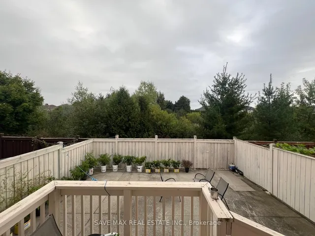 Additional image 35 of 50 Begonia Cres