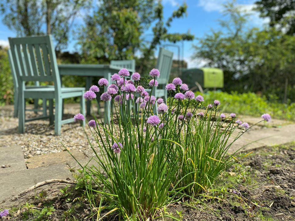 Additional image 26 of Noggarth Road, Fence
