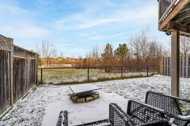 Additional image 39 of 64 Spotted Owl Cres