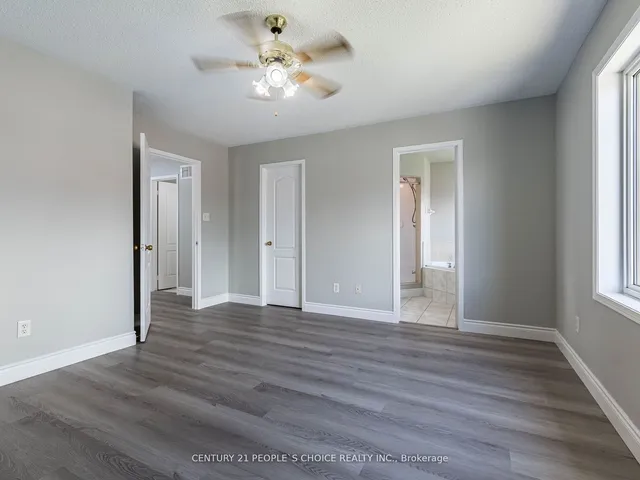 Additional image 29 of 42 Gecko Crt