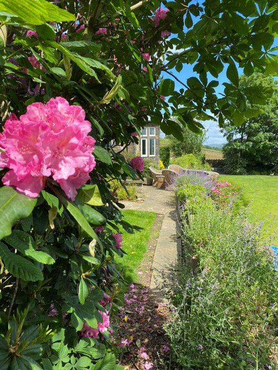 Additional image 48 of Noggarth Road, Fence