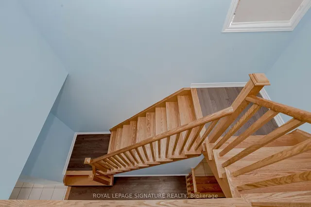 Additional image 16 of 7 Truffle Crt