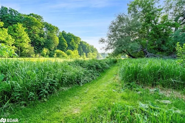 Additional image 35 of 99 River Rd