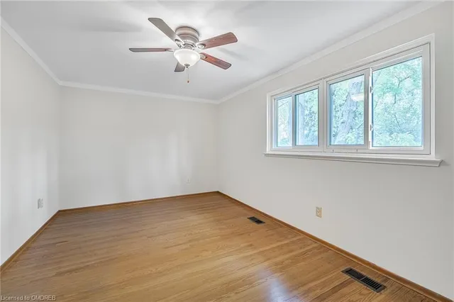 Additional image 23 of 299 Bartley Bull Pky