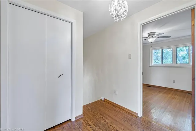 Additional image 16 of 299 Bartley Bull Pky