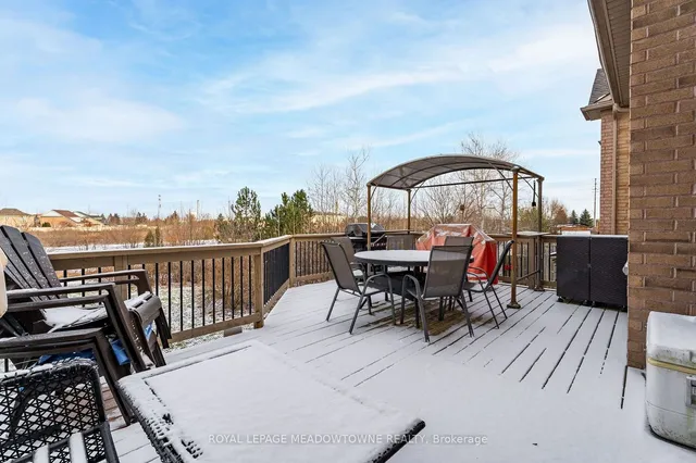 Additional image 20 of 64 Spotted Owl Cres