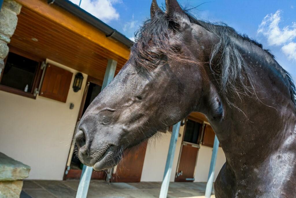 Additional image 70 of Long Causeway, Cliviger