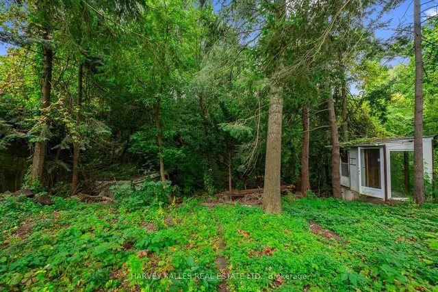 Additional image 33 of 361 Maple Leaf Dr