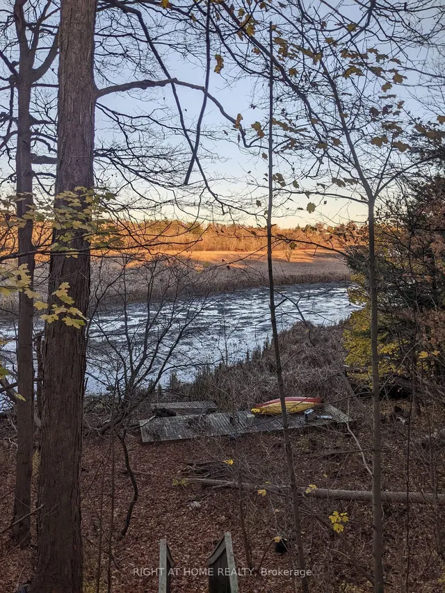 Additional image 7 of 339 Rouge Hills Dr