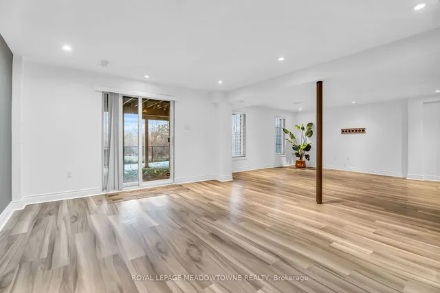 Additional image 29 of 64 Spotted Owl Cres