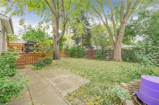 Additional image 45 of 299 Bartley Bull Pky