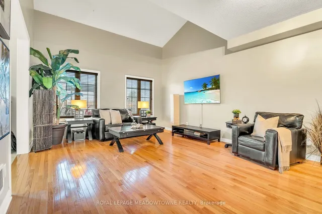 Additional image 10 of 64 Spotted Owl Cres