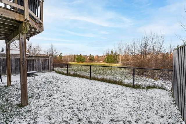 Additional image 34 of 64 Spotted Owl Cres