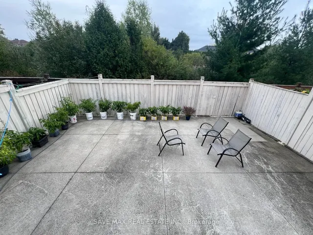 Additional image 36 of 50 Begonia Cres