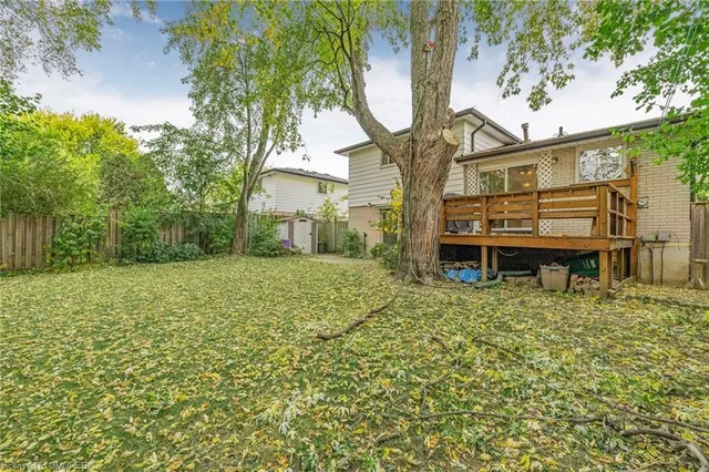 Additional image 49 of 299 Bartley Bull Pky