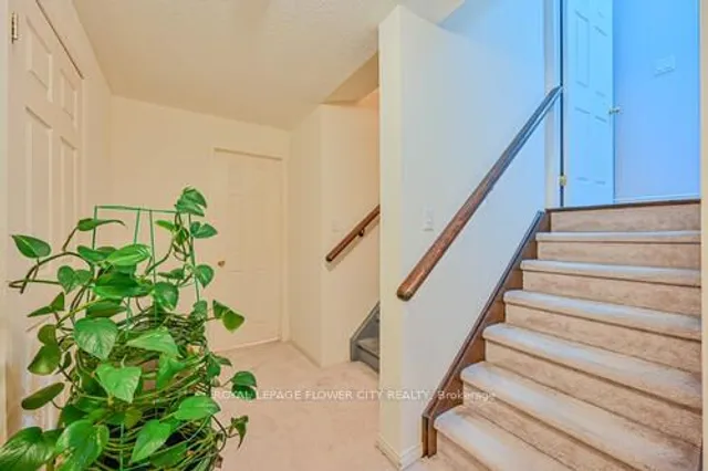 Additional image 32 of 269 Brussels Ave