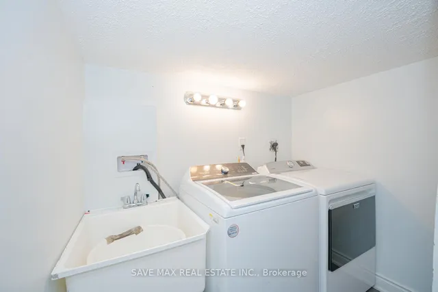 Additional image 32 of 50 Begonia Cres