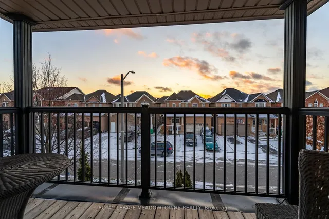 Additional image 26 of 64 Spotted Owl Cres