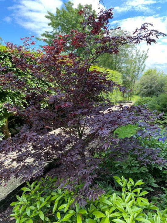 Additional image 15 of Noggarth Road, Fence