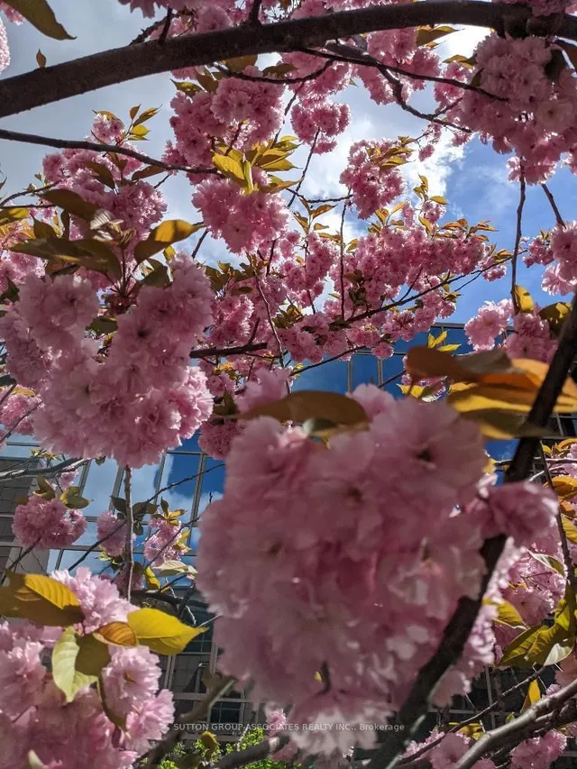 Additional image 38 of 211 QUEENS QUAY WEST Unit 1116