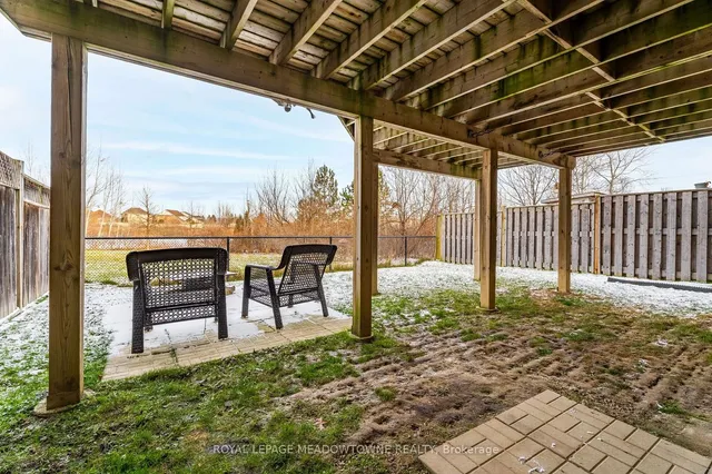 Additional image 35 of 64 Spotted Owl Cres