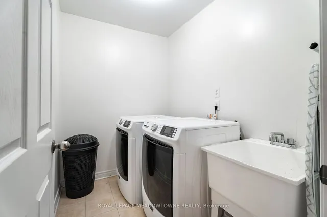 Additional image 27 of 64 Spotted Owl Cres