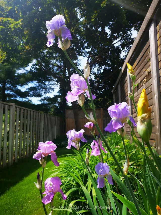 Additional image 31 of 2350 Deer Run Ave