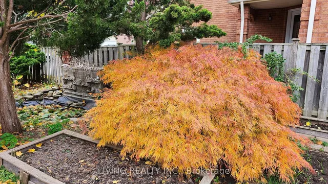 Additional image 39 of 97 Palomino Dr