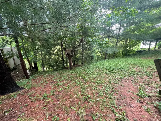 Additional image 9 of 63 River Rd