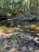 Additional image 2 of 13098 Hwy 41