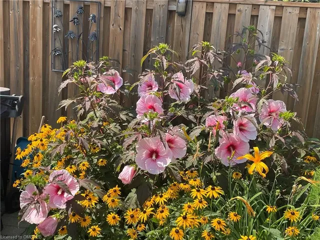 Additional image 6 of 3480 Hannibal Rd