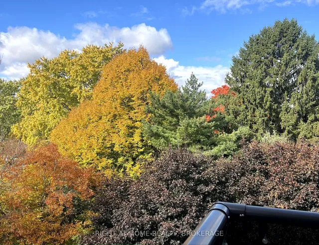 Additional image 2 of 2411 New St Unit 604