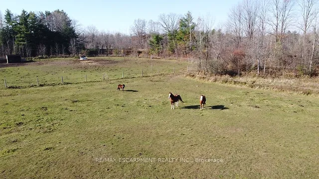 Additional image 38 of 5127 Milburough Line