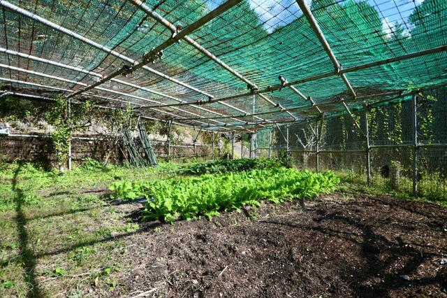 Additional image 23 of Yagyu Town, Nara City, Nara Prefecture