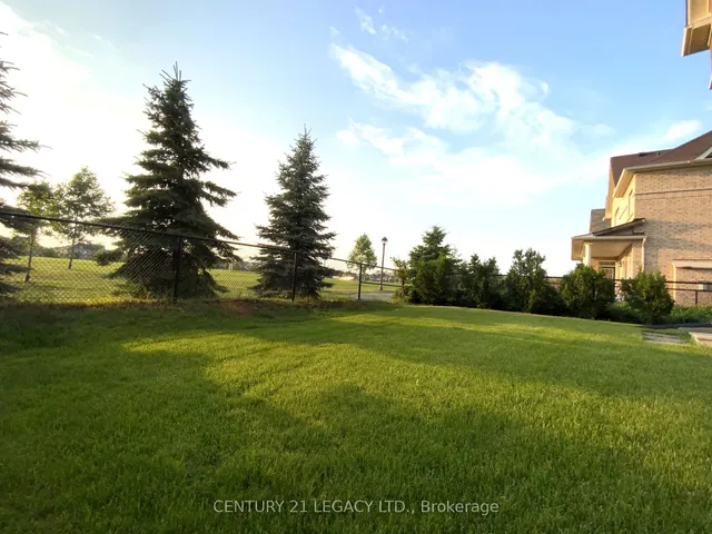 Additional image 31 of 115 Kaitting Tr