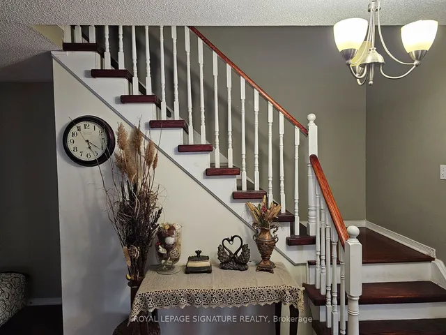 Additional image 7 of 46 Stirrup Crt