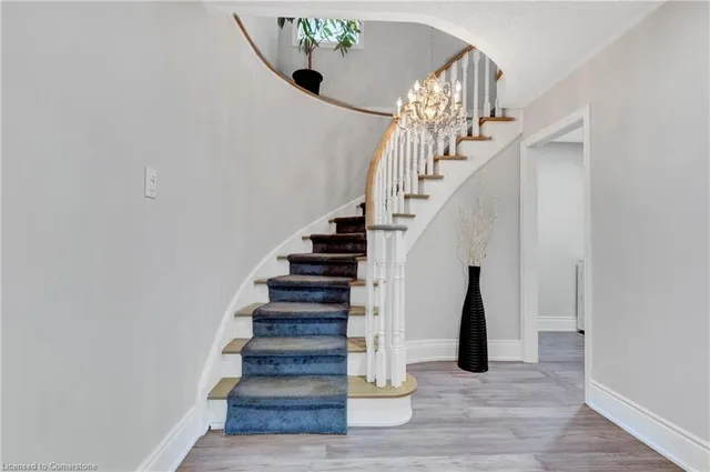 Additional image 16 of 139 Shady Pine Cir