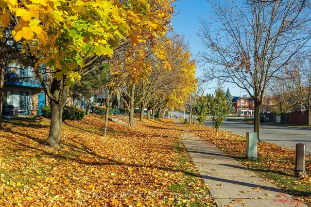 Additional image 28 of 95 Trailwood Dr Unit 812