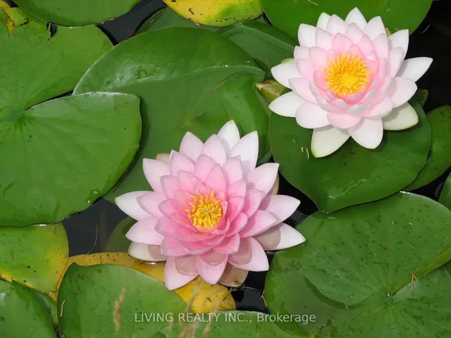 Additional image 36 of 97 Palomino Dr